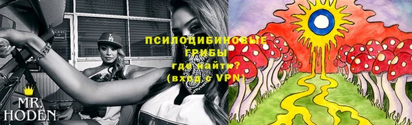 герыч Нея