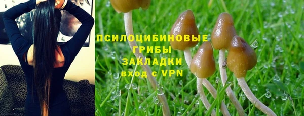 мескалин Нефтегорск