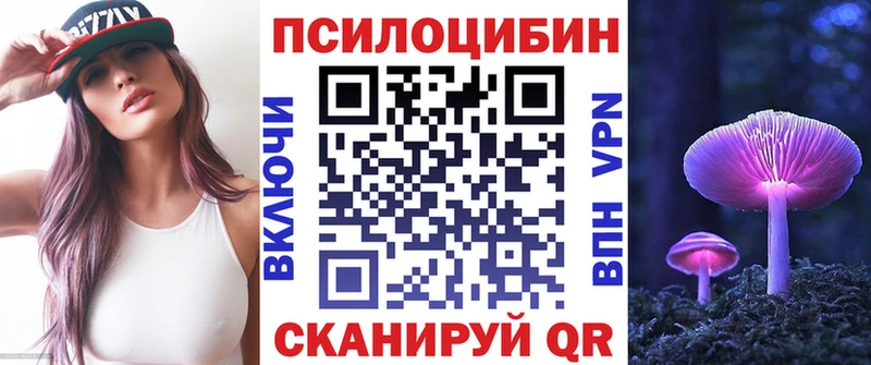 Купить закладки  Николаевск  Псилоцибиновые грибы GOLDEN TEACHER 